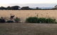 Beeâ€™s Place 3 Bedroom Home On 10 Acres Of Land With Distant Ocean Views - thumb 5