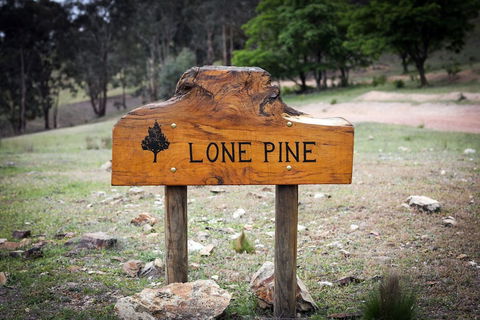 Lone Pine Farmhouse - Queensland Tourism 0