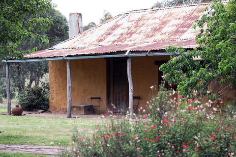 Lone Pine Farmhouse - Queensland Tourism 2