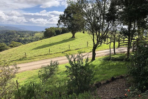 Top Cottage At Maleny - Queensland Tourism 5