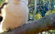 Couples Private Spa Retreat - thumb 4