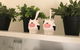 Couples Private Spa Retreat - thumb 1
