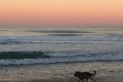 Ginaâ€˜s Place - Queensland Tourism 4