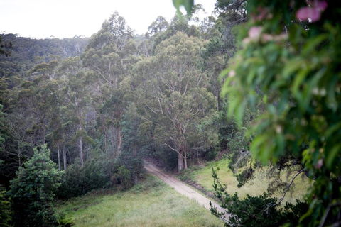 The Pear Cottage - Queensland Tourism 4