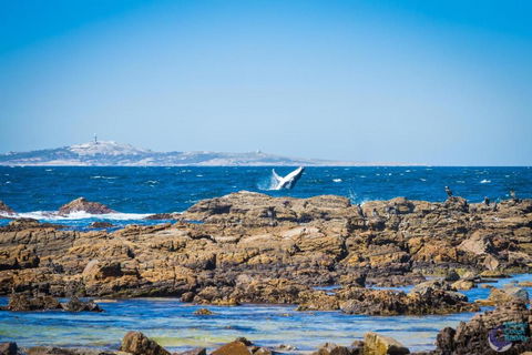 Cherrybush At Mystery Bay - QLD Tourism 5