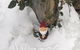 Winterbrook Chalet - thumb 7