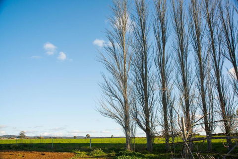 Royal Standard Farm Daylesford - Queensland Tourism 2