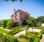Talits Vineyard Estate - Queensland Tourism