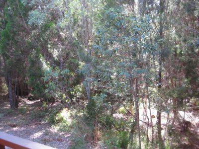 The Sanctuary - QLD Tourism 3