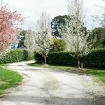 Robin Hill Manor Rambling Retreat & Tennis Court - QLD Tourism 0