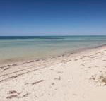 Boardwalk - QLD Tourism