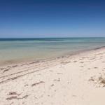 Boardwalk - QLD Tourism 0