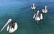 Aquarius 9 Opposite Wallis Lake - thumb 6