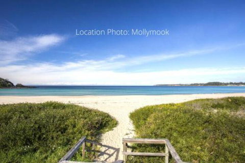 58 Lockhart Ave Unlock Mollymooks Heart - QLD Tourism 6