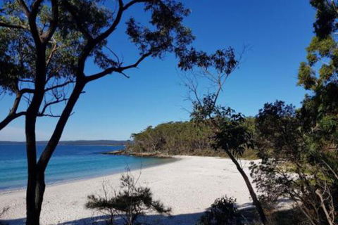 Excellent St. Granny Flat - QLD Tourism 6