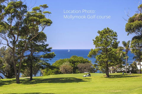 Mollymooks Tee To Sea 19 Buchan Street - QLD Tourism 2