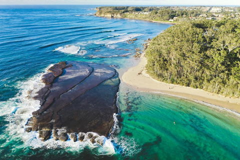 Mollymooks Tee To Sea 19 Buchan Street - QLD Tourism 1
