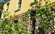 Bindley House B & B Cottage - thumb 4