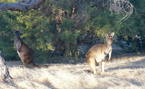 The Cape - QLD Tourism 4