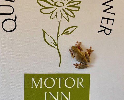 Quirindi Sunflower Motor Inn - QLD Tourism 2