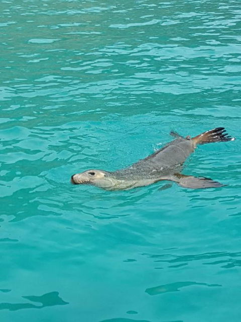Berds Nest - Queensland Tourism 2