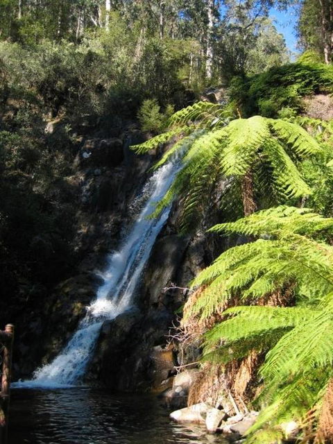 RiverCottage Selfcontained - QLD Tourism 2