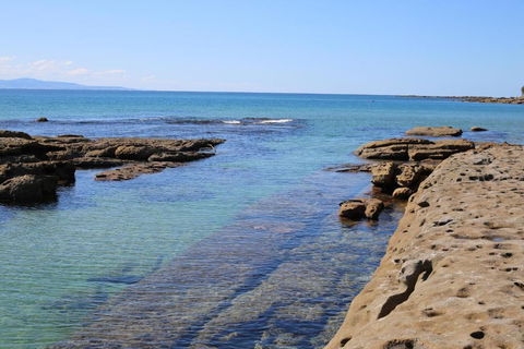 The Crescent Pet Friendly 1 Min To Beach - QLD Tourism 1