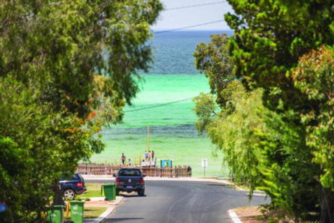 Opulent Oasis - QLD Tourism 7