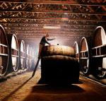 Pieter van Gent Winery  Vineyard - Queensland Tourism