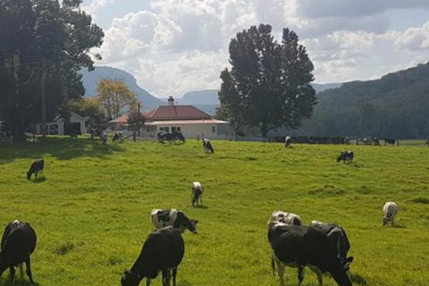 Glenmurray Country Farm Stay! - Queensland Tourism 0