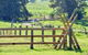 Glenmurray Country Farm Stay! - thumb 4