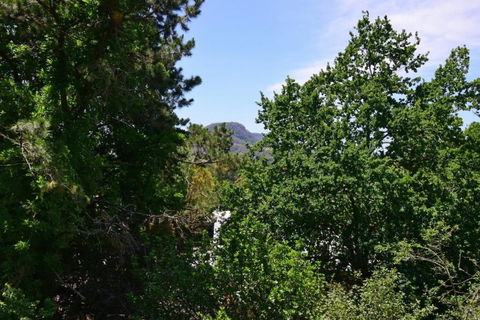 Cloudsong Chalet 4 Close To The Village Centre! - Queensland Tourism 3
