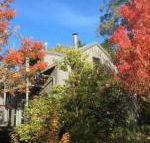 Cloudsong Chalet 4 Close to the village centre - Queensland Tourism
