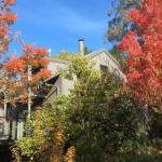 Cloudsong Chalet 4 Close To The Village Centre! - Queensland Tourism 0