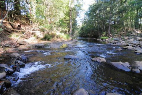 Willabrook Retreat Mojo Cottage Romantic Escape! - Queensland Tourism 5