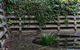 Cousin Gilbert Daylesford - thumb 5