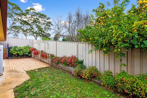 Maggies Place - Queensland Tourism 5