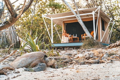 Wilson Island - Queensland Tourism 0