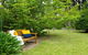Canary Cottage Fresh Clean Simple & Comfortable - thumb 2