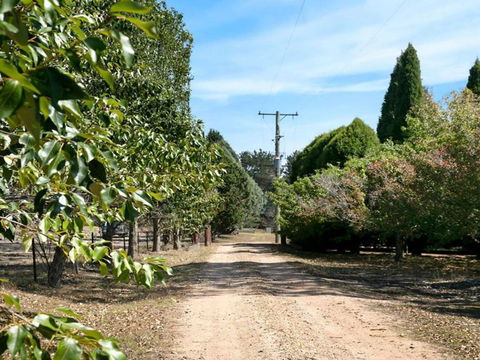 Warrington Park Bendooley Hill - Queensland Tourism 5