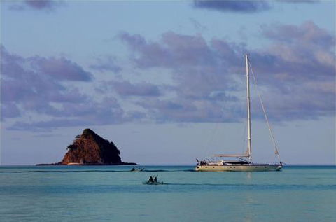 LANDSCAPE At PALM COVE - QLD Tourism 5