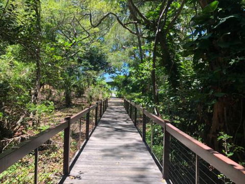 LANDSCAPE At PALM COVE - QLD Tourism 1
