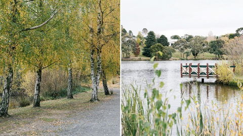 Province Lake House - QLD Tourism 4