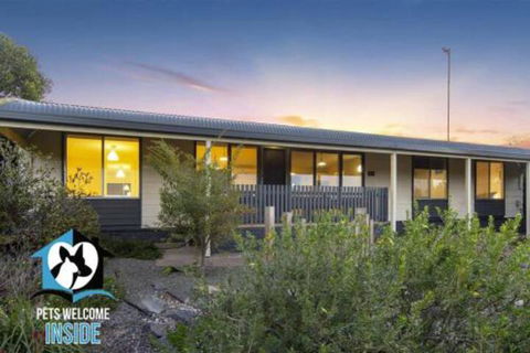 Retro Groovy Pad Pt Elliot - Queensland Tourism 4