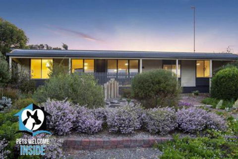 Retro Groovy Pad Pt Elliot - Queensland Tourism 5