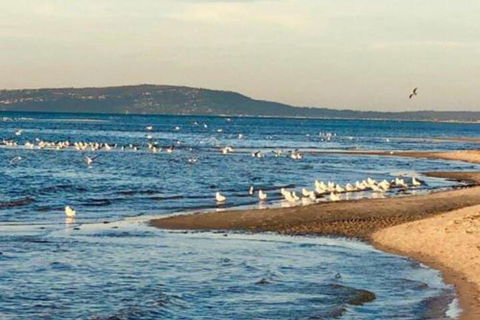 Coastal Luxury Retreat - Queensland Tourism 3