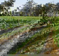 Renovated Cottage Aberdare Hunter Valley - Queensland Tourism