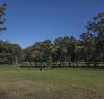 Championship Golf Course on your Back Door