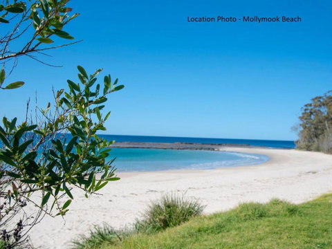 Tallwood Ave 77 Mollymook - QLD Tourism 3