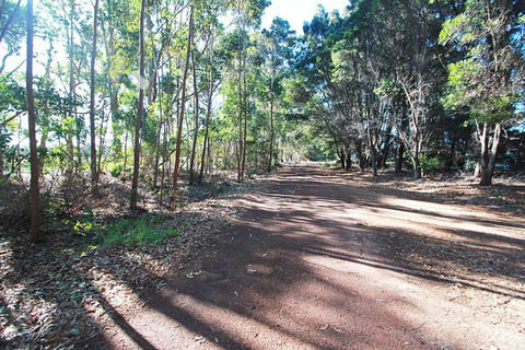 Vines & Stars - Queensland Tourism 6